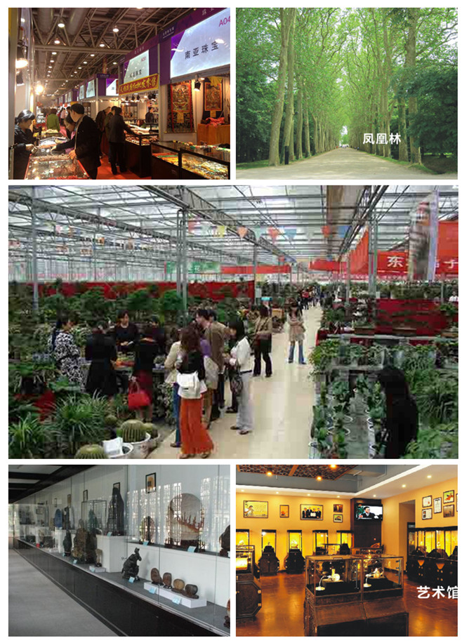 踏青赏花好去处合肥,合肥市内春游赏花公园