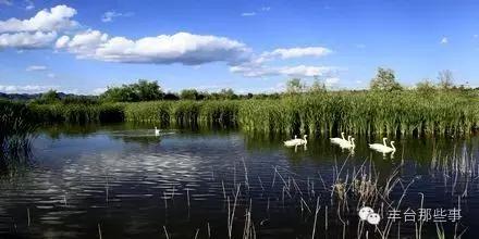 北京丰台有山有水的地方,丰台有湖的地方