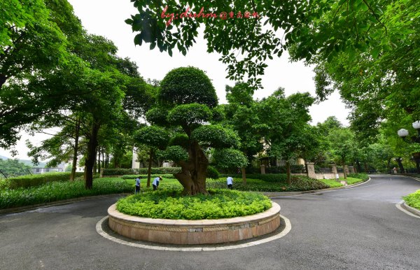 去广东增城玩有哪些攻略,广州周末好去处增城