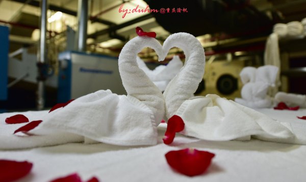 去广东增城玩有哪些攻略,广州周末好去处增城