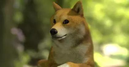 其实任何护肤品都不能被皮肤吸收,其实护肤品都很鸡肋吗