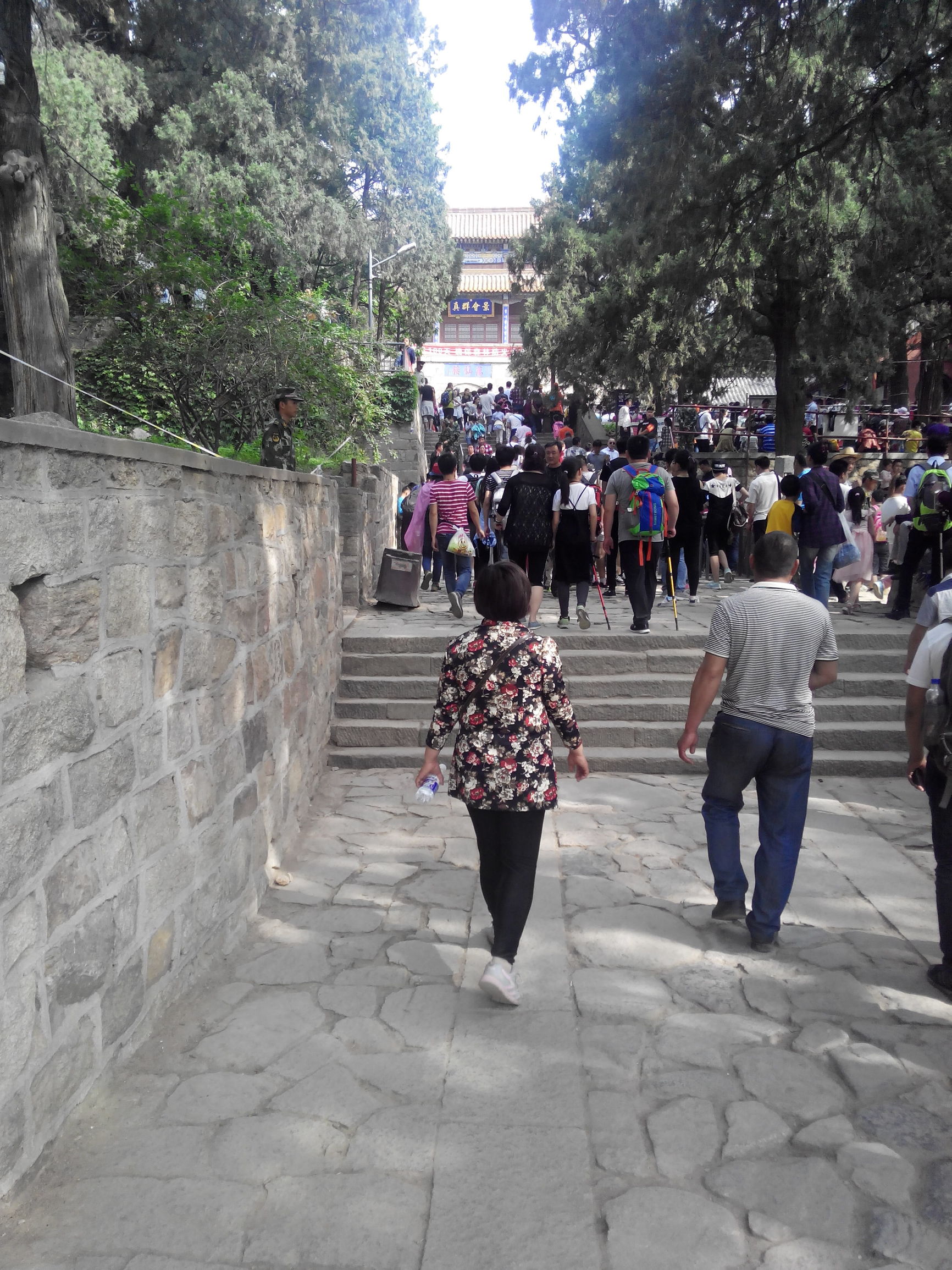 天津去泰山自由行攻略,天津泰山旅游攻略自助游