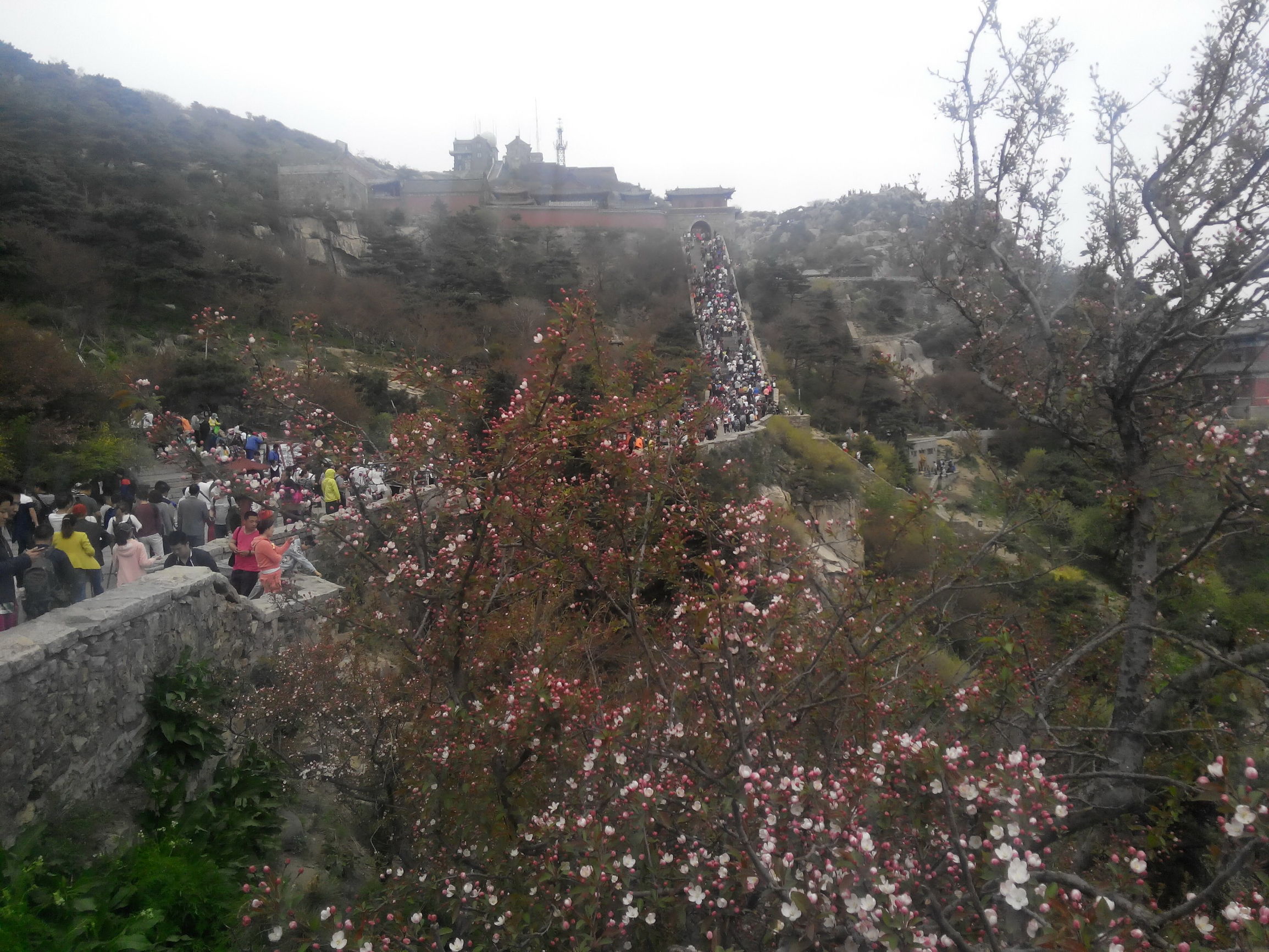 天津去泰山自由行攻略,天津泰山旅游攻略自助游