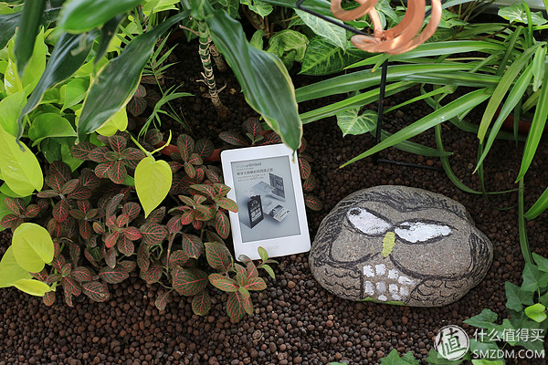 最新kindlepaperwhite,kindle经典版和旗舰版