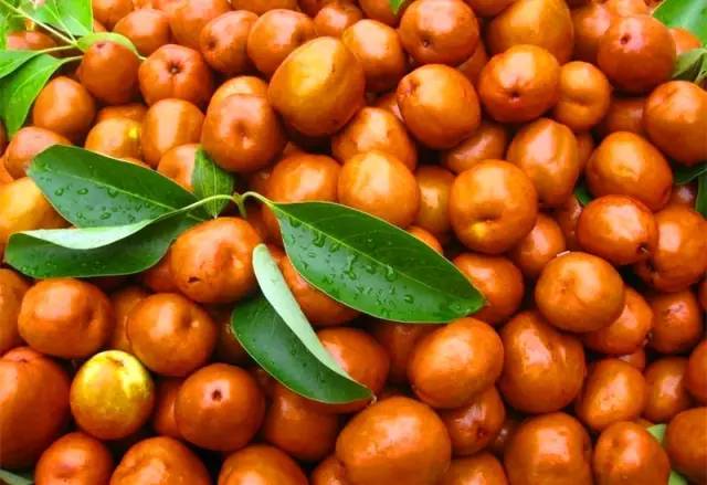 河北特点伴手礼,河北有什么好吃的伴手礼