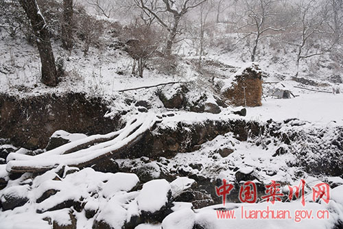 最美的期待铃声,手机铃声最美的期待