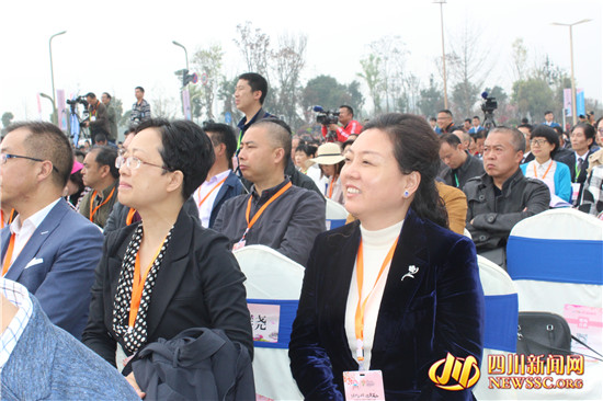 四川眉山樱花博览园,眉山岷江樱花视频