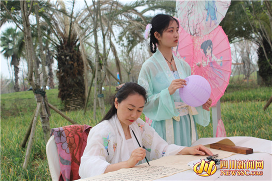 四川眉山樱花博览园,眉山岷江樱花视频