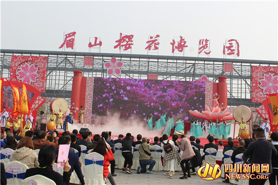 四川眉山樱花博览园,眉山岷江樱花视频