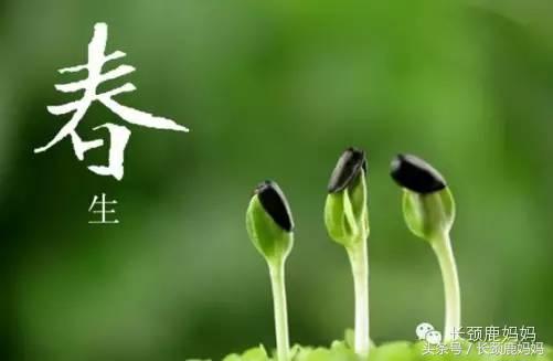 与春天有关的古诗英文版,描写春天的古诗词翻译成英文