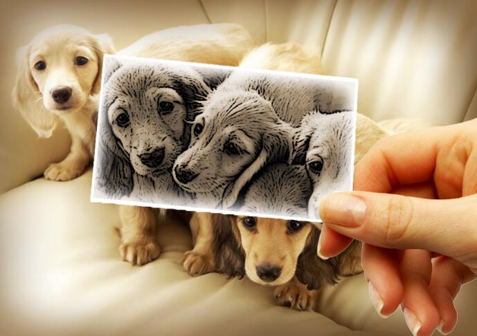 用蒙版和画笔打造人物半素描效果,滤镜让色彩画变好看