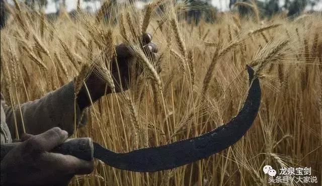 最具杀伤力的近身冷兵器,近身最强格斗兵器