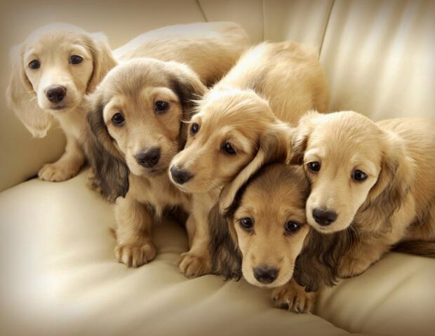 用蒙版和画笔打造人物半素描效果,滤镜让色彩画变好看