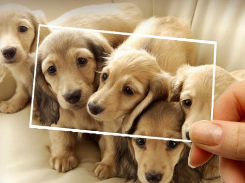 用蒙版和画笔打造人物半素描效果,滤镜让色彩画变好看