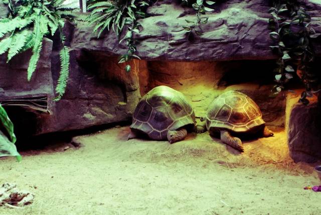 伊甸园免签景点在哪个城市,伊甸园免签的景点在哪里