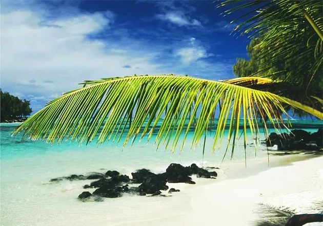 伊甸园免签景点在哪个城市,伊甸园免签的景点在哪里