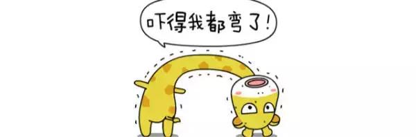 谁说解剖太枯燥？小编带你领略解剖学的精彩世界！