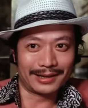 香港邵氏100部武打电影男反派,邵氏电影反派角色扮演