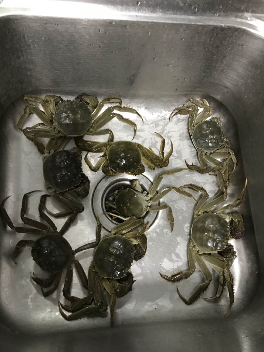 拼多多被吐槽“坑多多”，里面的套路你知道多少？