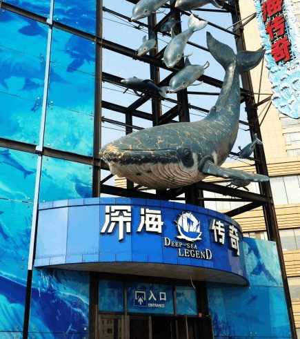 大连海边风光,想体验不一样的日出吗