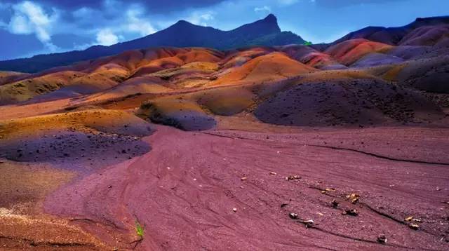 伊甸园免签景点在哪个城市,伊甸园免签的景点在哪里