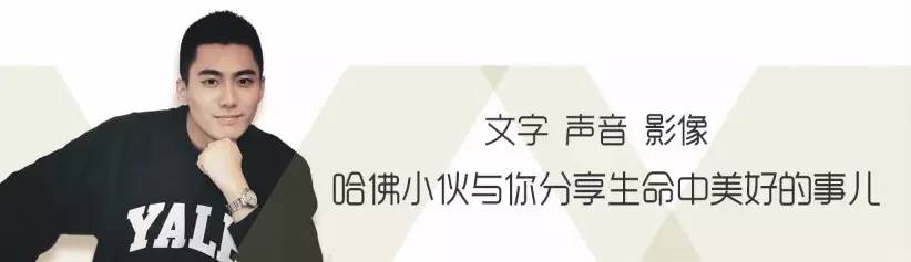 李柘远哈佛学长leo专业,李柘远哈佛学长leo