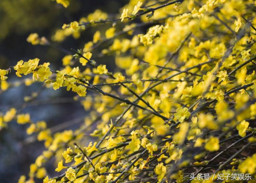 *钟金**铉尽管时间停滞在某一时刻对你的思念从来没有间断！
