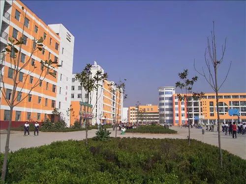 安徽芜湖高中排名,安徽最牛的十大高中