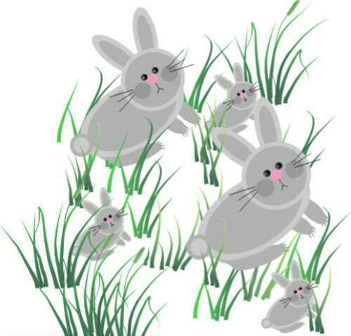 动物寓言故事视频完整版,动物寓言故事