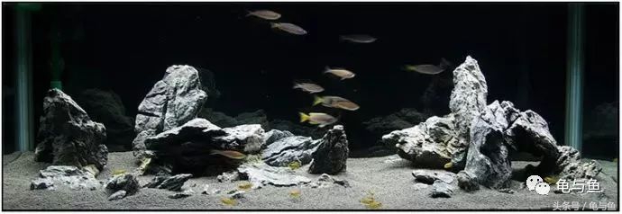 鱼缸水质测试纸正常值对照表,水族用盐用量计算