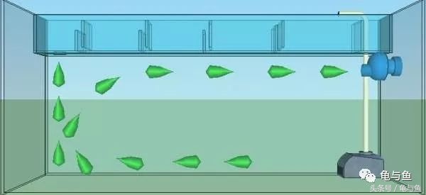 造流泵内部结构,造浪泵哪个牌子好用