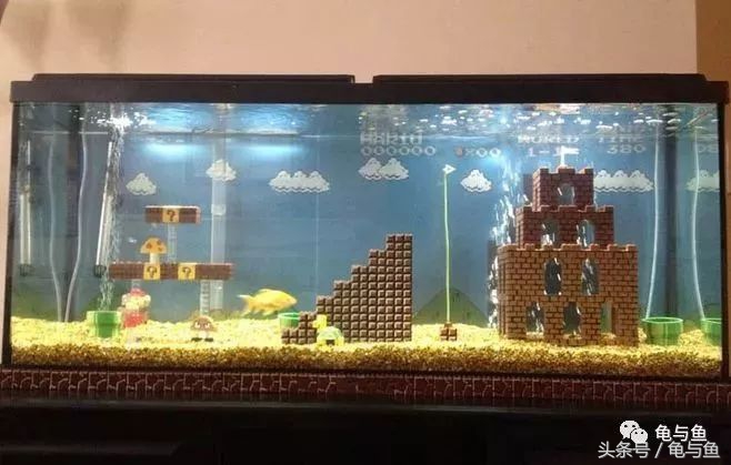 鱼缸水质测试纸正常值对照表,水族用盐用量计算