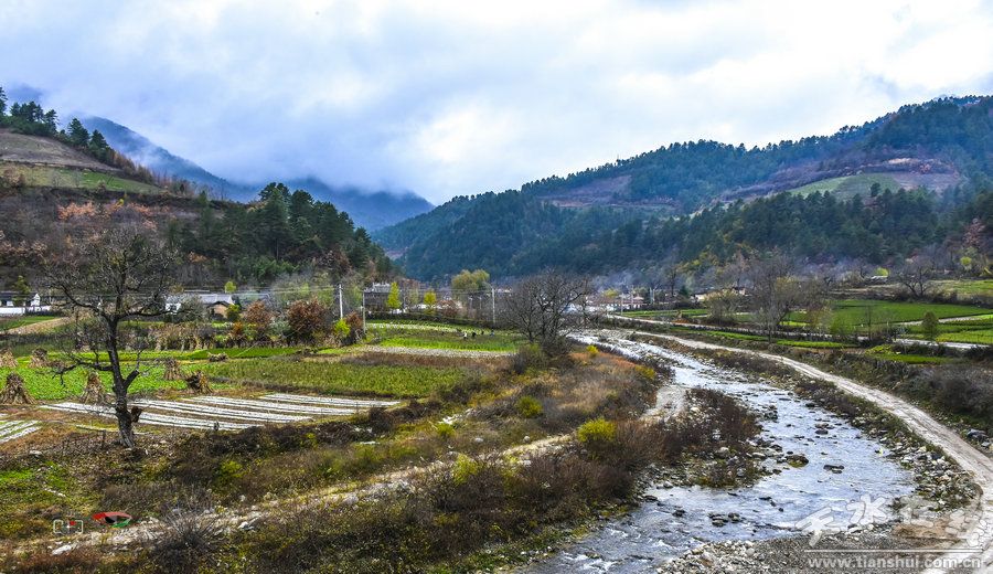 天水市国家级美丽乡村建设,天水市最美乡村名录图片