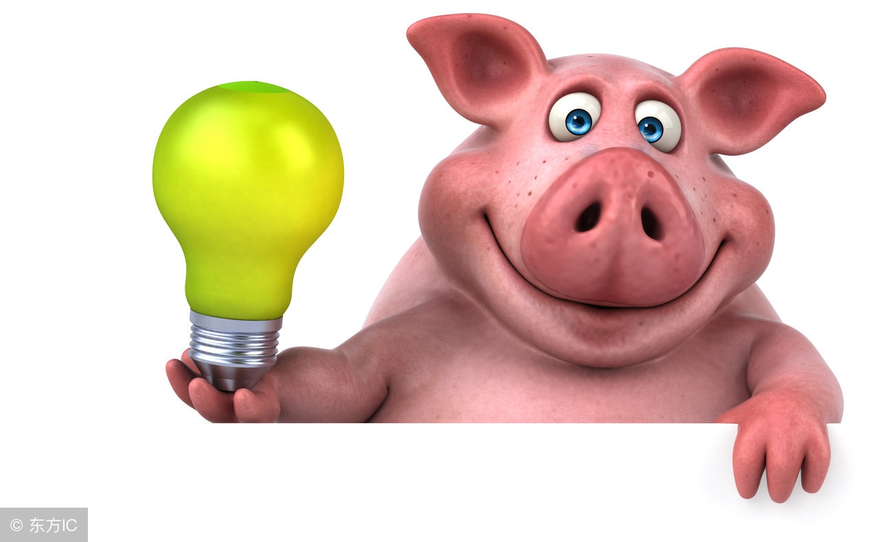 十二生肖运势2019年属猪人运势,属猪本命年流年运势怎么样