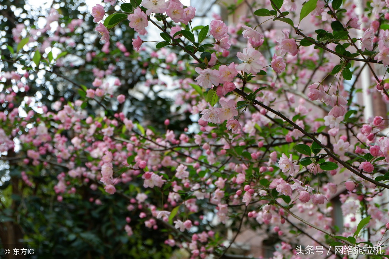 优化seo好学吗,seo技术自学有用吗
