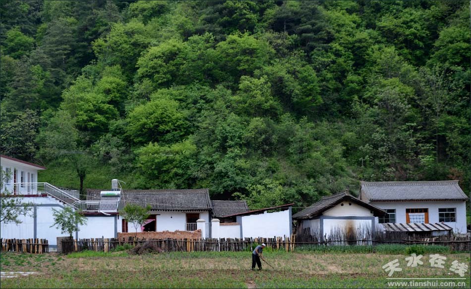 天水市国家级美丽乡村建设,天水市最美乡村名录图片