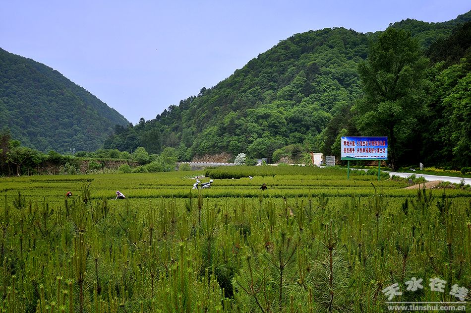 天水市国家级美丽乡村建设,天水市最美乡村名录图片