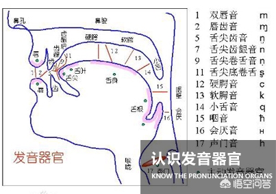 腹语术有什么危害,失语可以练习腹语吗
