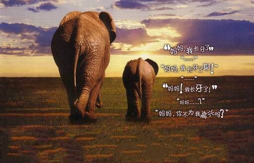 没有买卖就没有杀害别让它们消失！,1