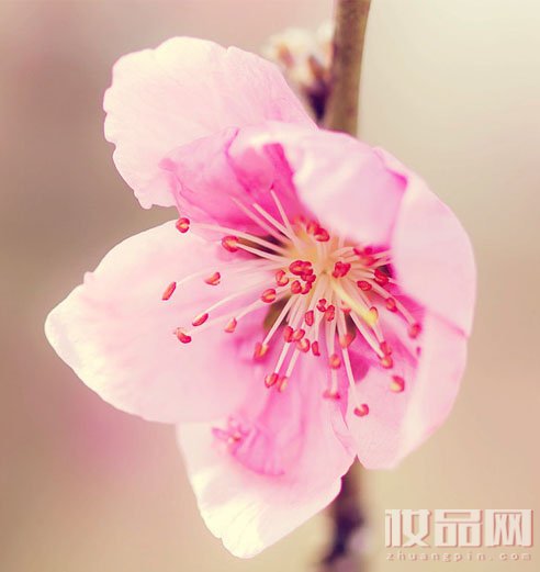 如何祛除脸上雀斑小妙招,怎么去除脸上的雀斑15个小技巧