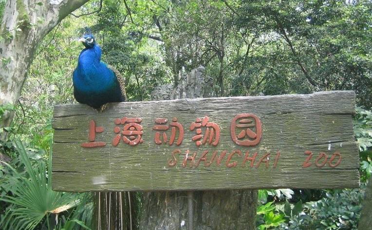 电子圈的父母六一带孩子去哪儿？