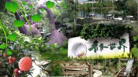 电子圈的父母六一带孩子去哪儿？