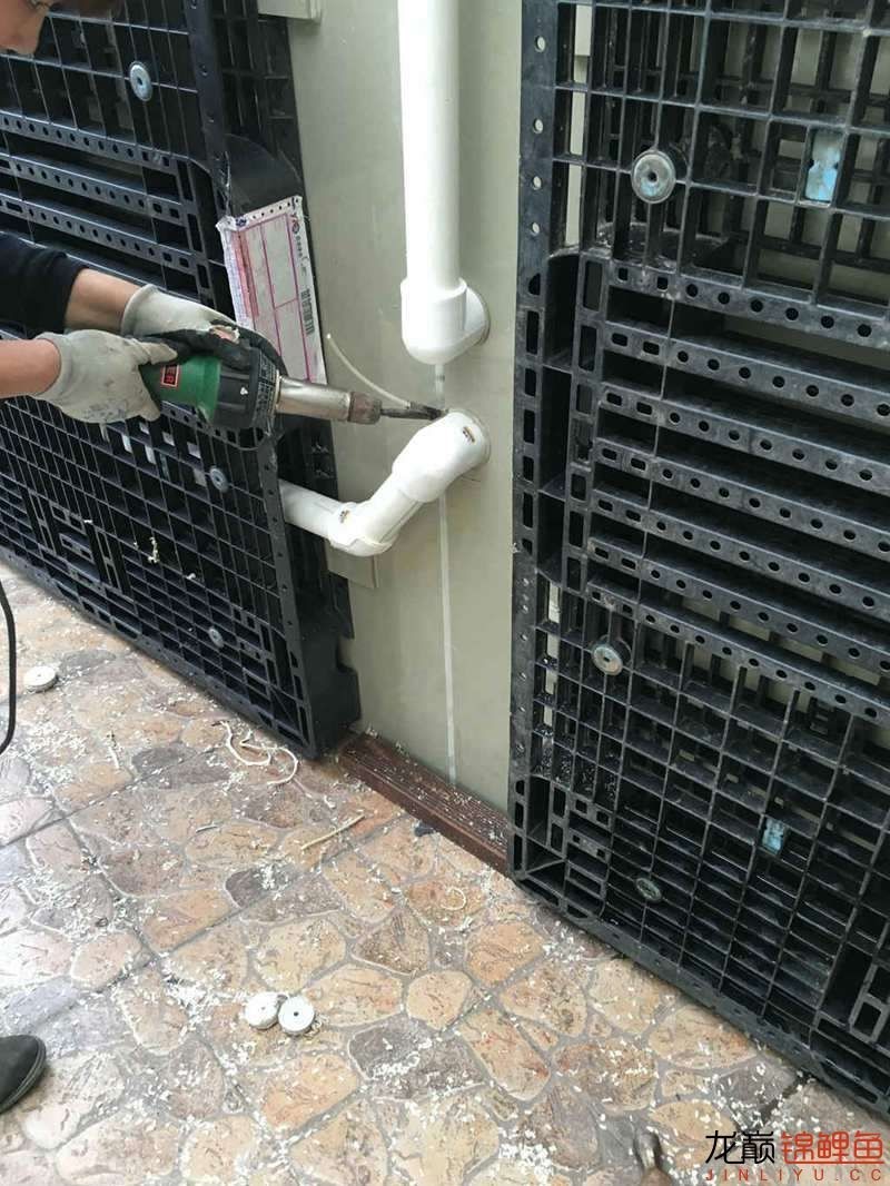 大型pp塑料锦鲤池,超大pp塑料锦鲤池