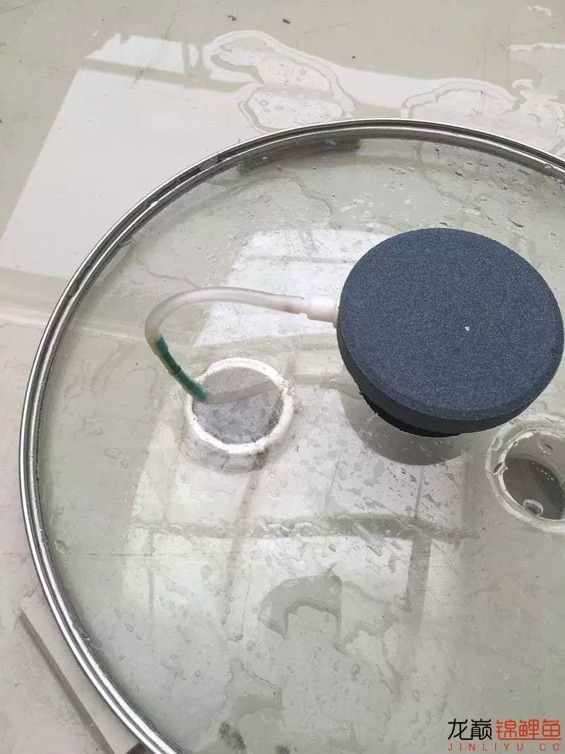 大型pp塑料锦鲤池,超大pp塑料锦鲤池