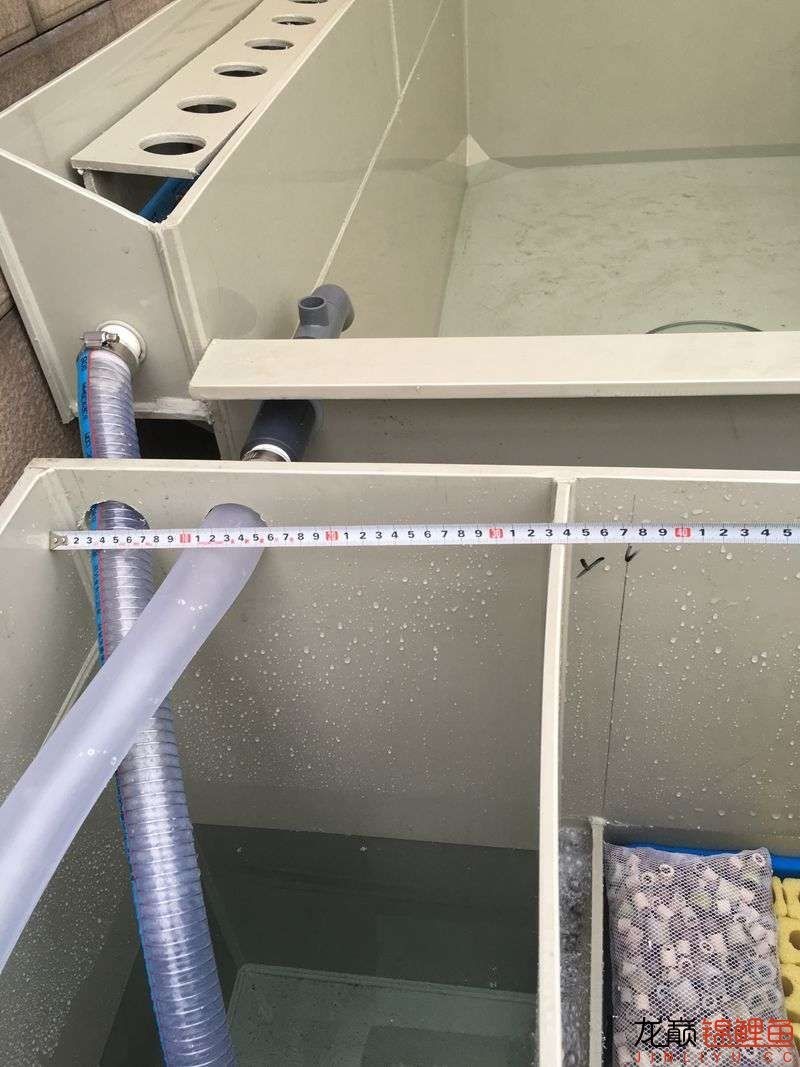 大型pp塑料锦鲤池,超大pp塑料锦鲤池