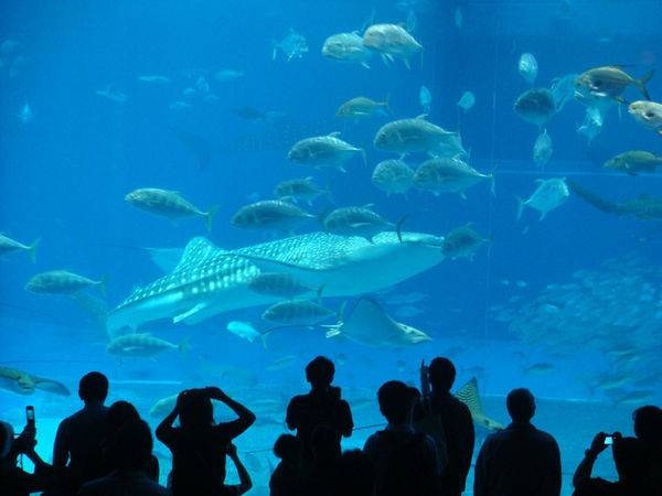 电子圈的父母六一带孩子去哪儿？