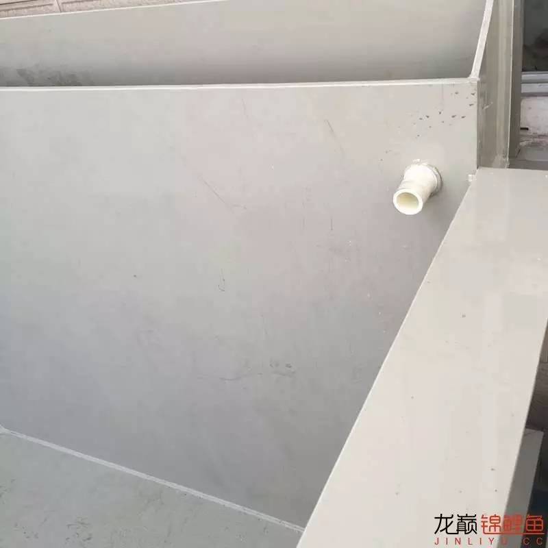 大型pp塑料锦鲤池,超大pp塑料锦鲤池