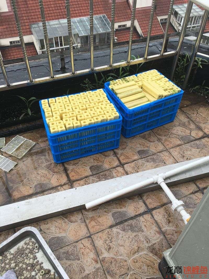 大型pp塑料锦鲤池,超大pp塑料锦鲤池