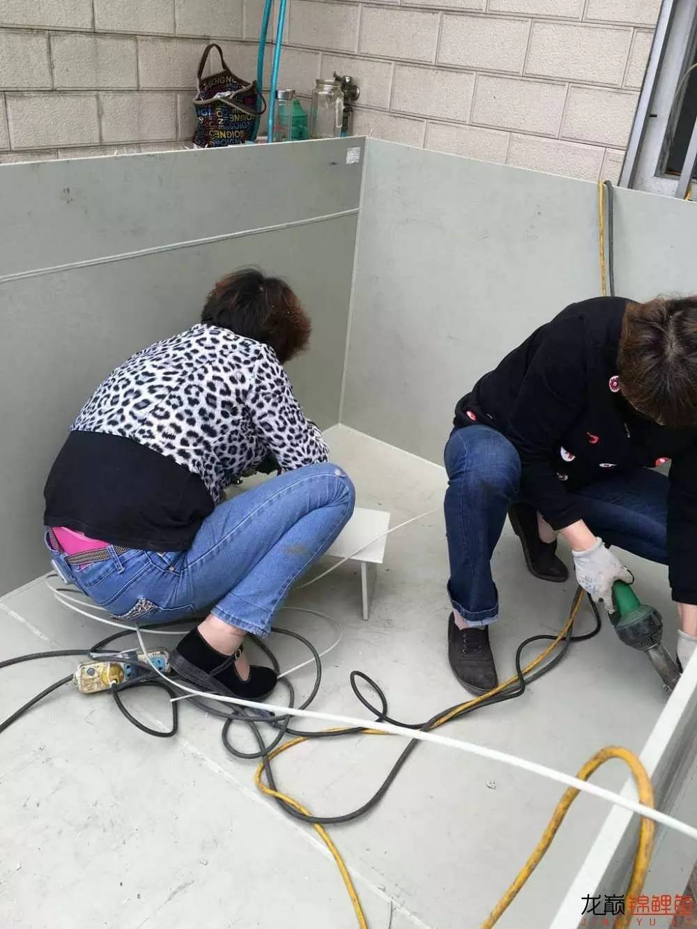 大型pp塑料锦鲤池,超大pp塑料锦鲤池