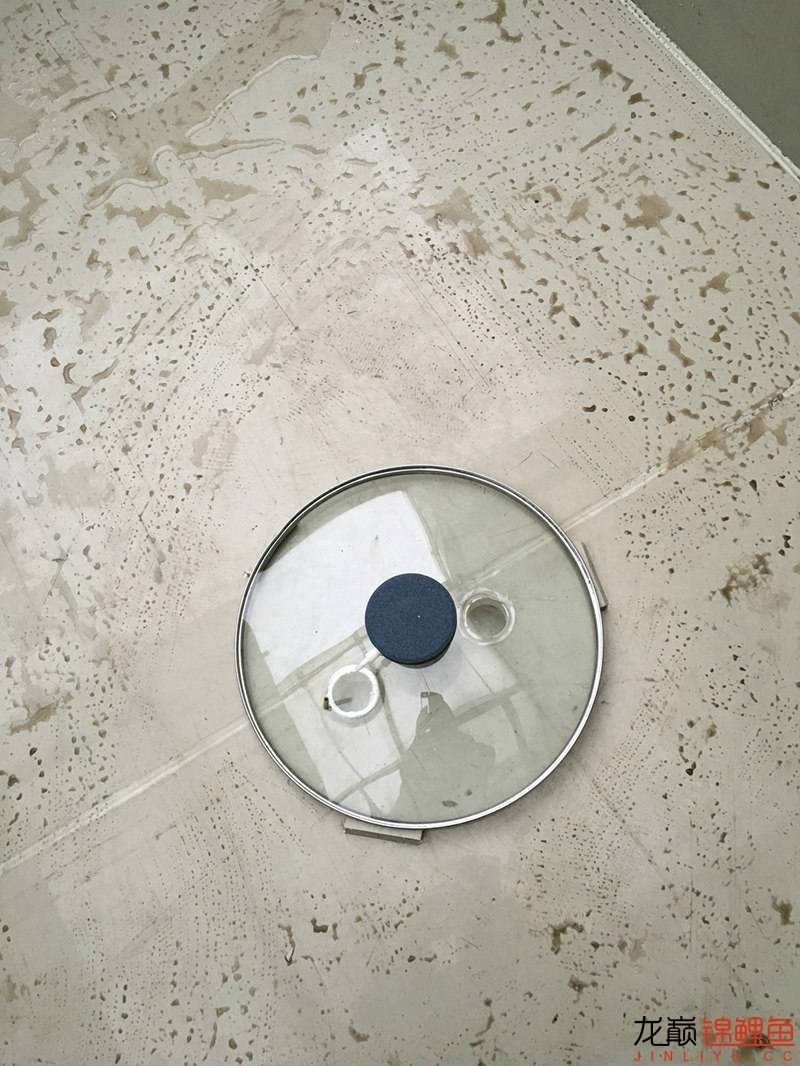 大型pp塑料锦鲤池,超大pp塑料锦鲤池